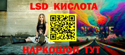 прущие грибы Кохма