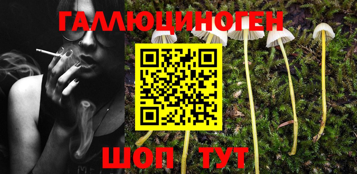 Псилоцибиновые грибы GOLDEN TEACHER Майский